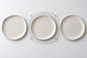 Overhead inspection of organic ceramic plates against clear outline bands for controlled shape variation in bulk production